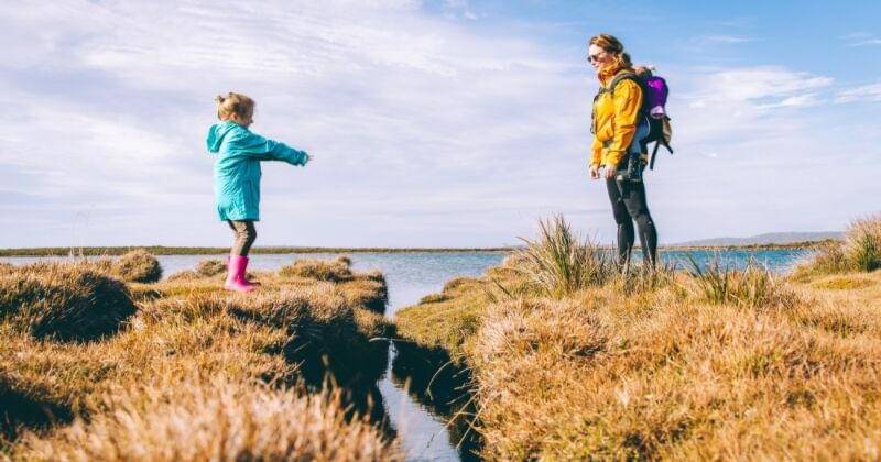 Unsplash.com/simonrae